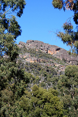 Escarpment at Halls Gap photo