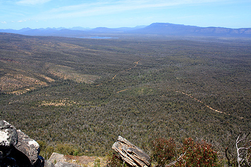 Reed Lookout photo