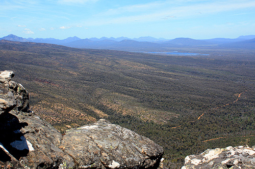 Reed Lookout photo