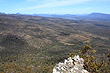 Reed Lookout photo