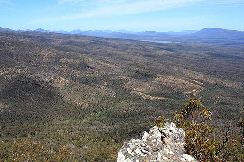 Reed Lookout photo