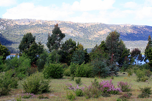 Grass Area at Lake Bellfield photo