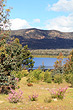 View of Lake Bellfield photo