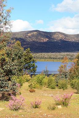 Lake Bellfield View photo