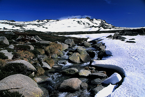 Mountain Stream photo