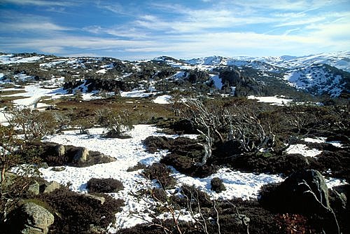 Kosciusko View photo