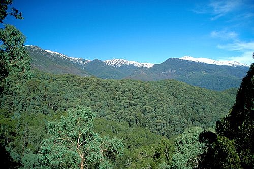 Olsens Lookout photo