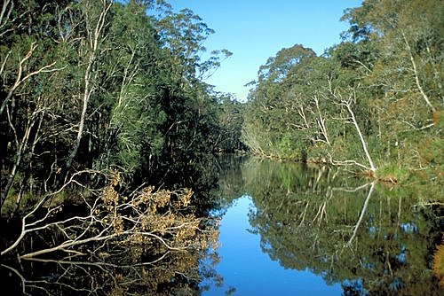 Noosa River photo