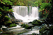 Horseshoe Falls photo