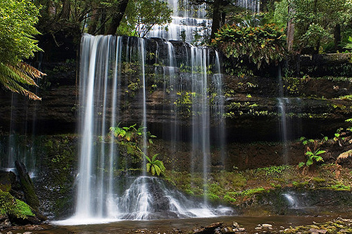Russell Falls photo