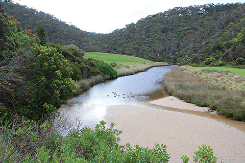 River in Otway photo