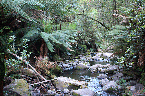 Erskine River photo