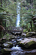 Erskine Falls Otway photo