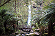 Erskine Falls Otway photo