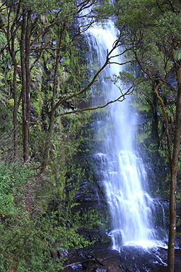 Erskine Falls Otway photo