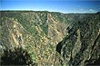 Wollomombi Gorge photo