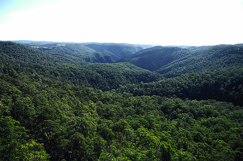 Oxley Wild Rivers National Park photo