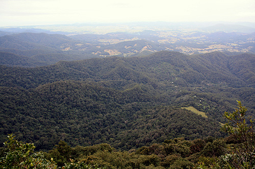 Upper Crystal Creek View photo