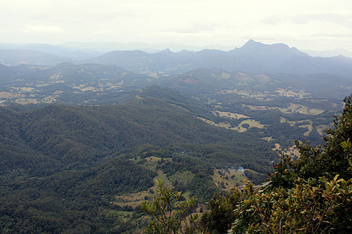 Springbrook Plateau photo