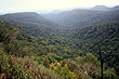 Canyon Lookout photo