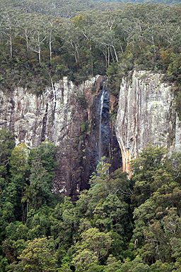 Springbrook Plateau photo