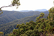 Spring Brook National Park View photo