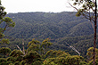 Little Nerang Dam View photo