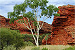 Kings Canyon photo