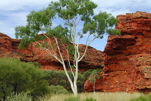 Kings Canyon Australia