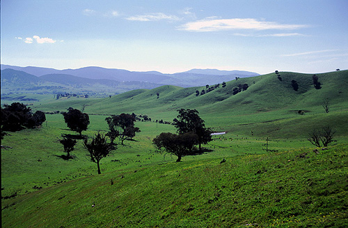 Farmland photo