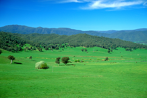 Rural New South Wales photo