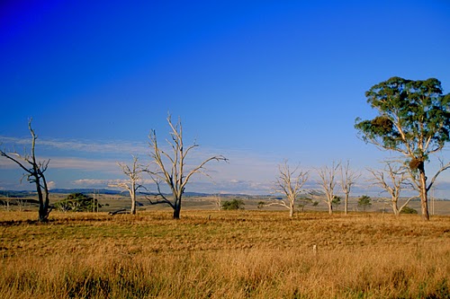 Rural New England photo