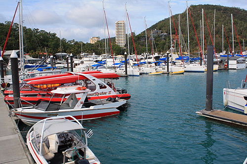 Hamilton Island Marina photo