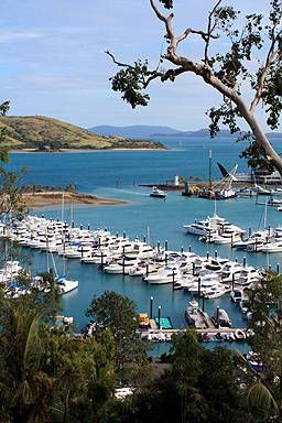 Hamilton Island Marina photo