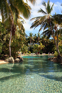 Swimming Pool photo