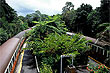 Kuranda Railway Station photo