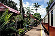 Kuranda photos