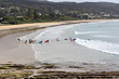 Lorne Beach Surfers photo