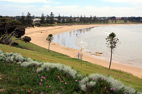 Torquay Beach Zeally Bay photo