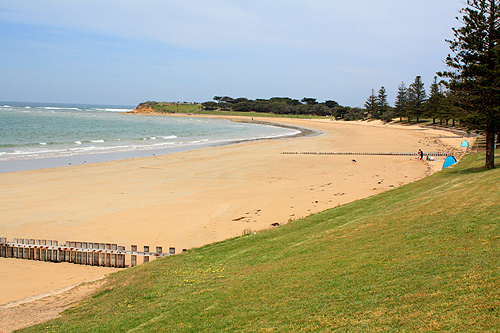 Torquay Surf Beach photo