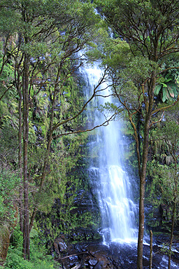 Otway NP Erskine Falls photo