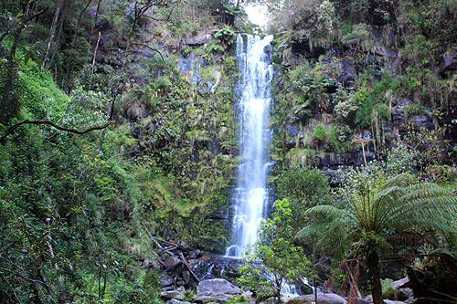 Erskine Falls & Fern Tree photo