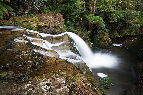 Liffey Falls photo