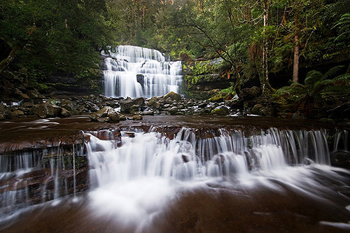 Liffey Falls photo