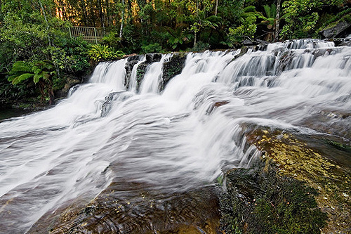 Liffey Falls photo