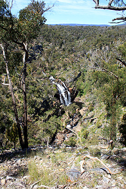 MacKenzie Falls photo