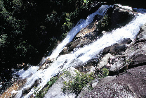 Davies Creek Falls photo