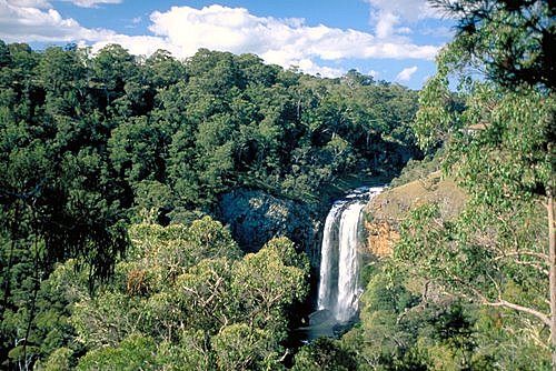 Ebor Falls photo