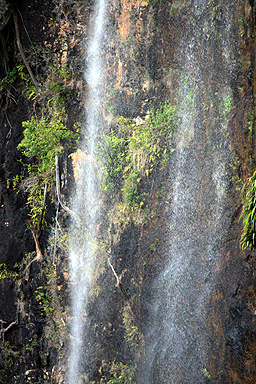 Purling Brook Falls photo