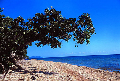 Divine Island Coast photo